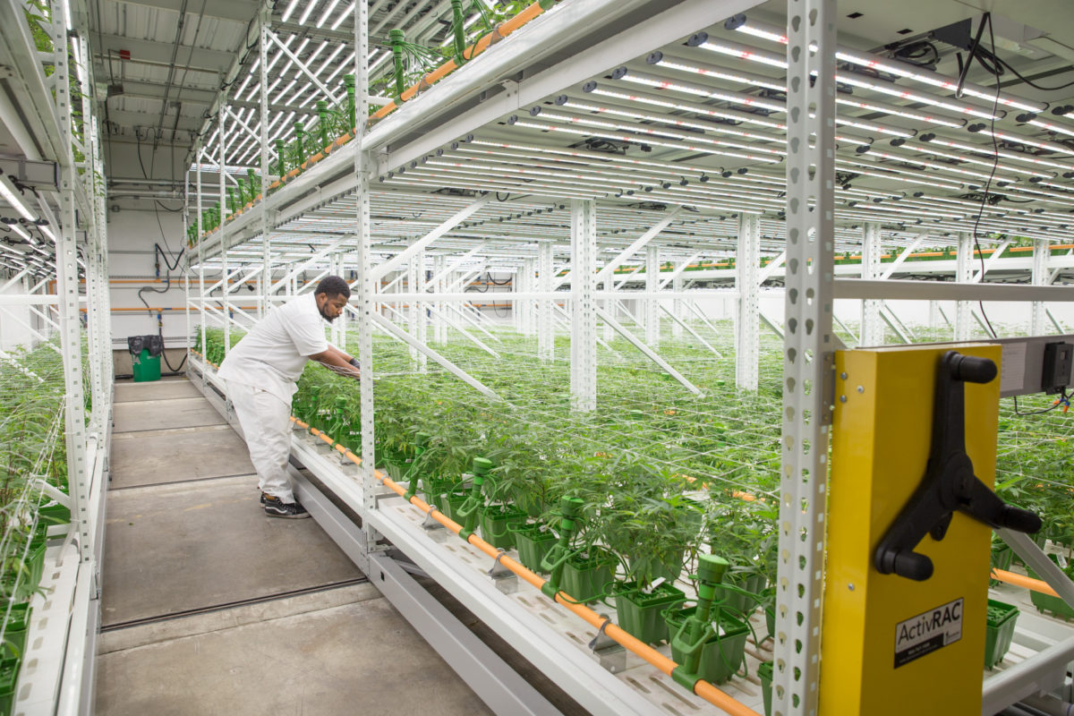 McMurray Stern Mobile Storage Solutions for Cannabis Growers Featured in New York Post